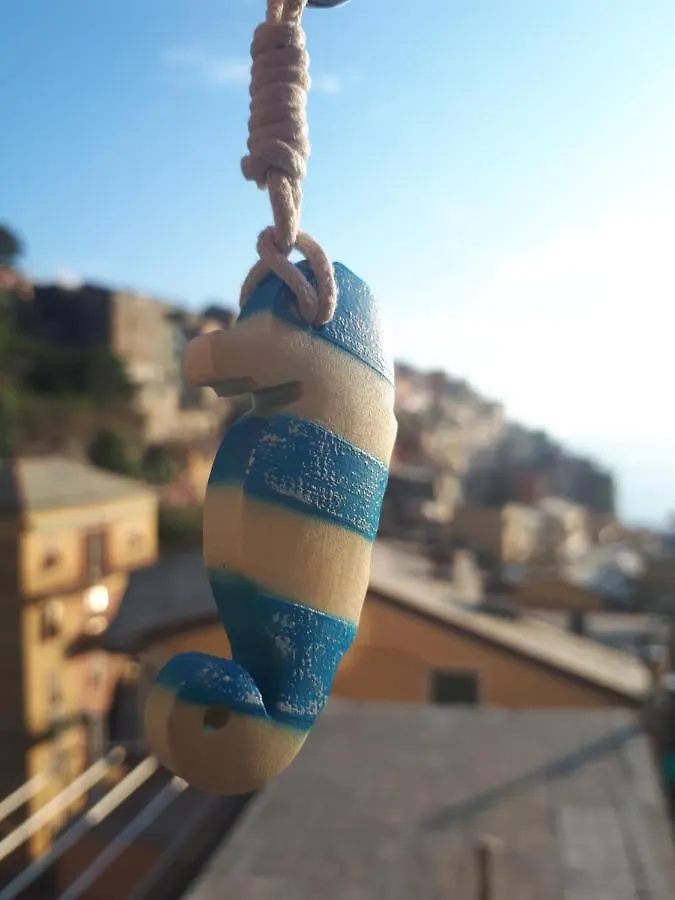 Il Cavalluccio Marino Manarola Guest house